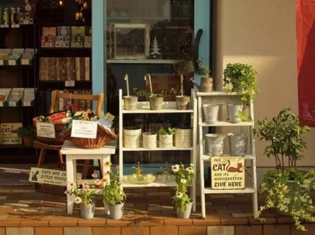 如何开一家花店,开一家花店的真实经历