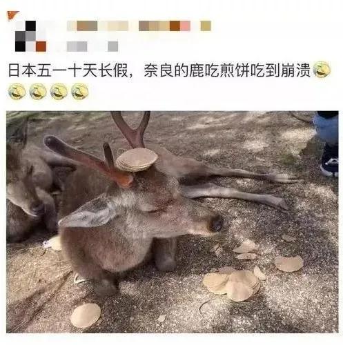 龙虾没人吃、奢侈品没人买、蒙娜丽莎没人看,全世界等中国人出门消费!