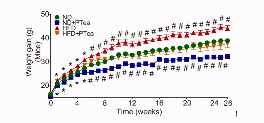预防三高的中药粉,预防胆固醇和甘油三酯过高药物