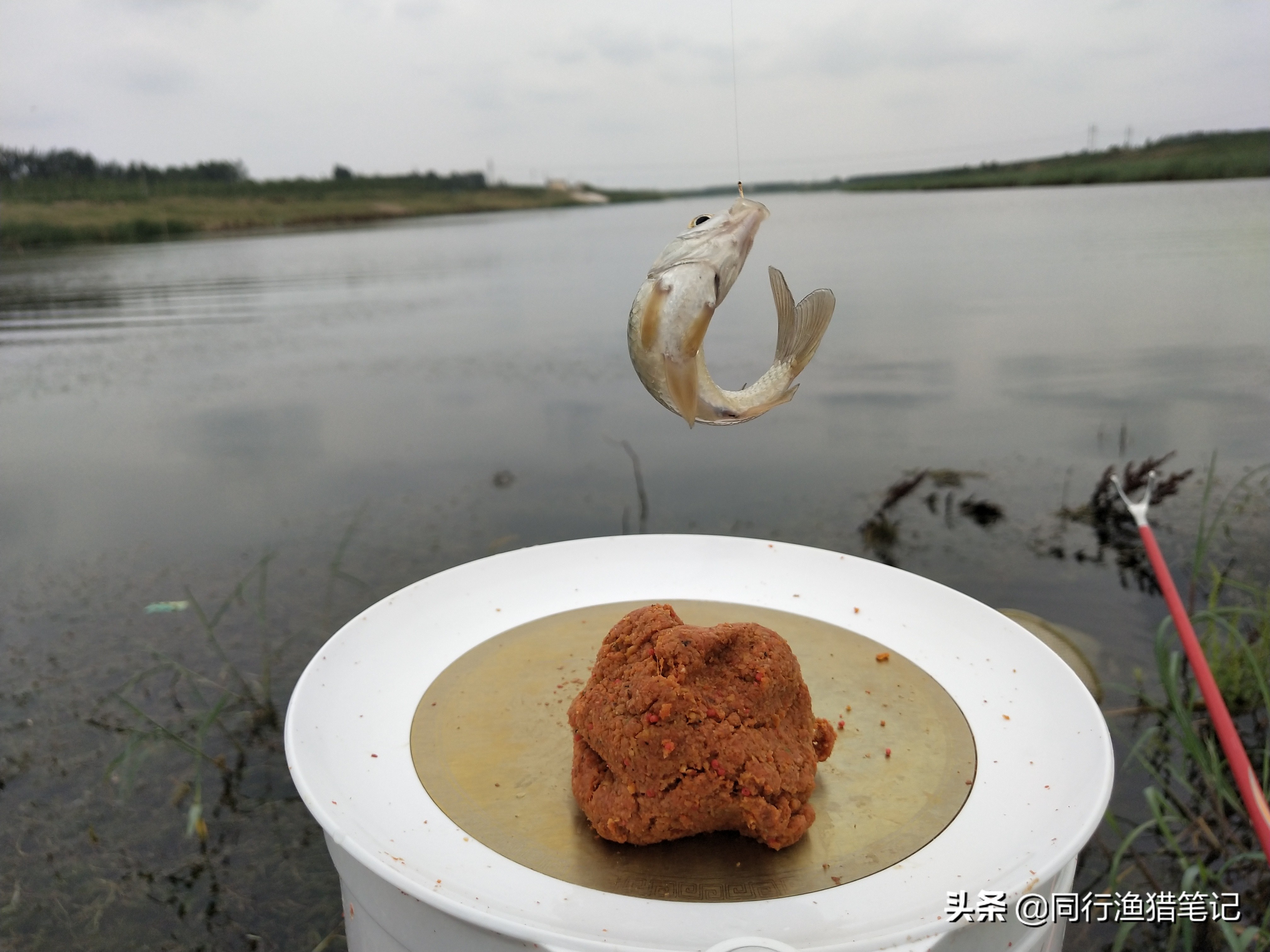 拉饵怎么拉出饱满饵球,拉饵怎么开出最好的状态