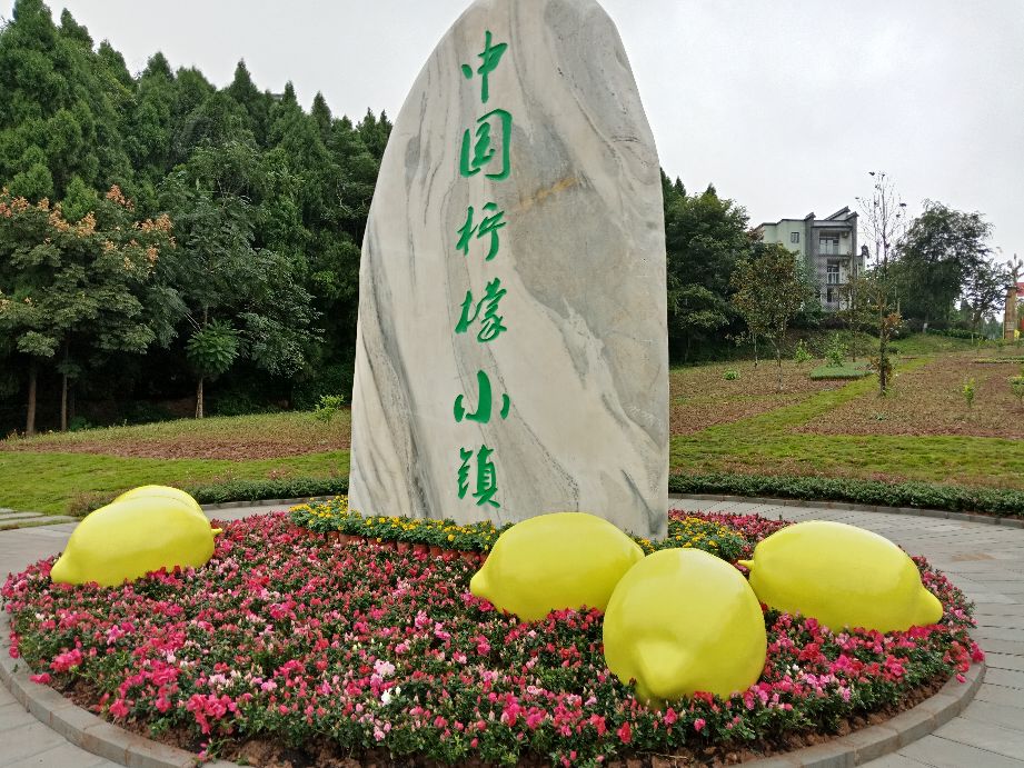 去安岳玩最该去什么地方,四川安岳有什么好玩儿的