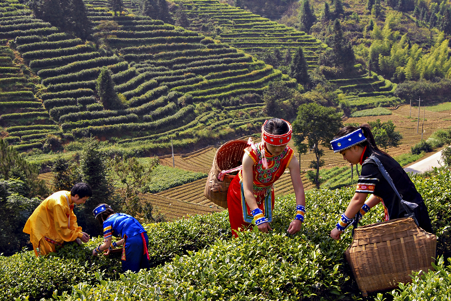 永安市青水畲族乡特点,福建省永安市青水畲族乡
