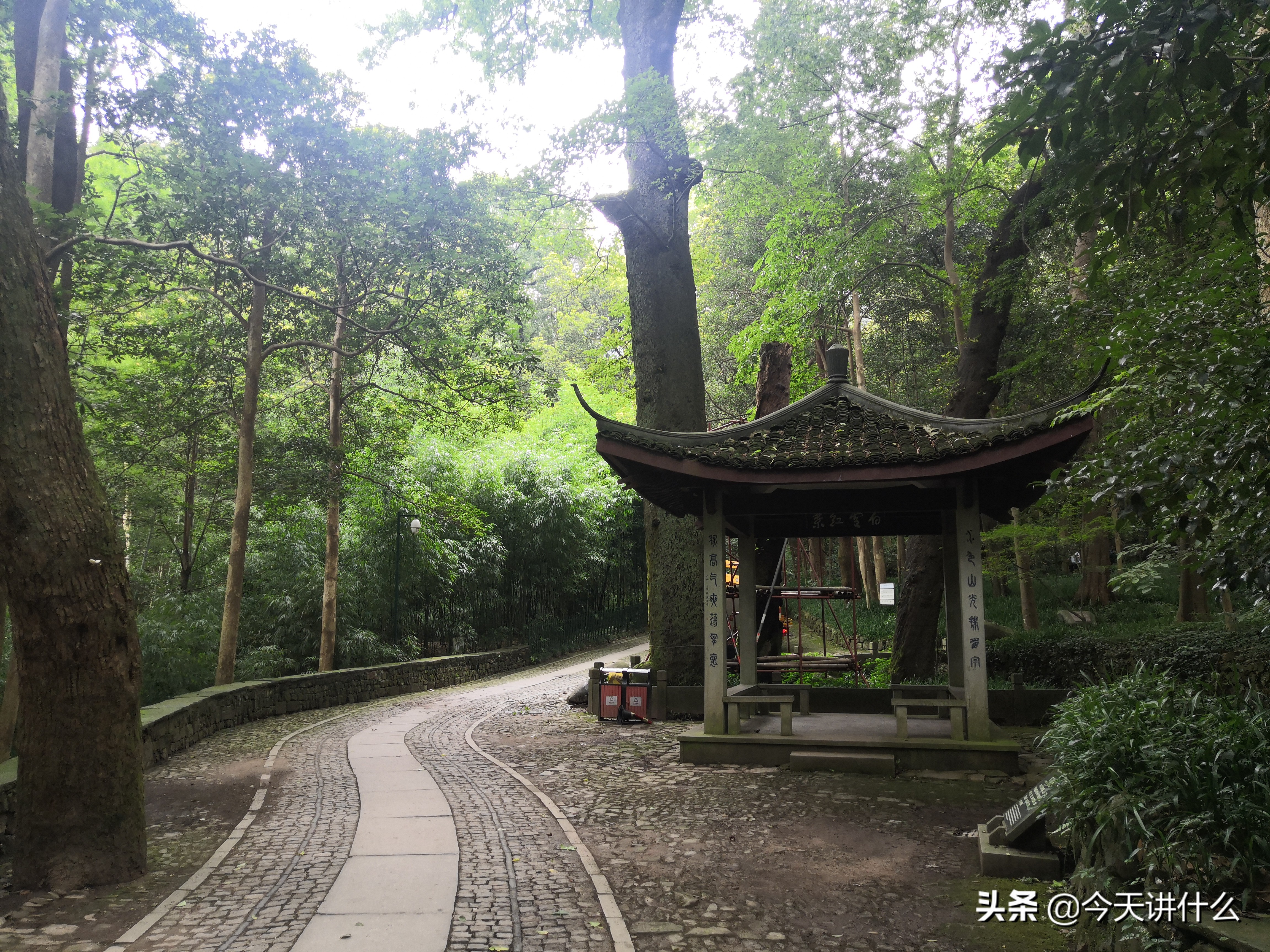 云栖竹径徒步路线图,龙坞茶村和云栖竹径