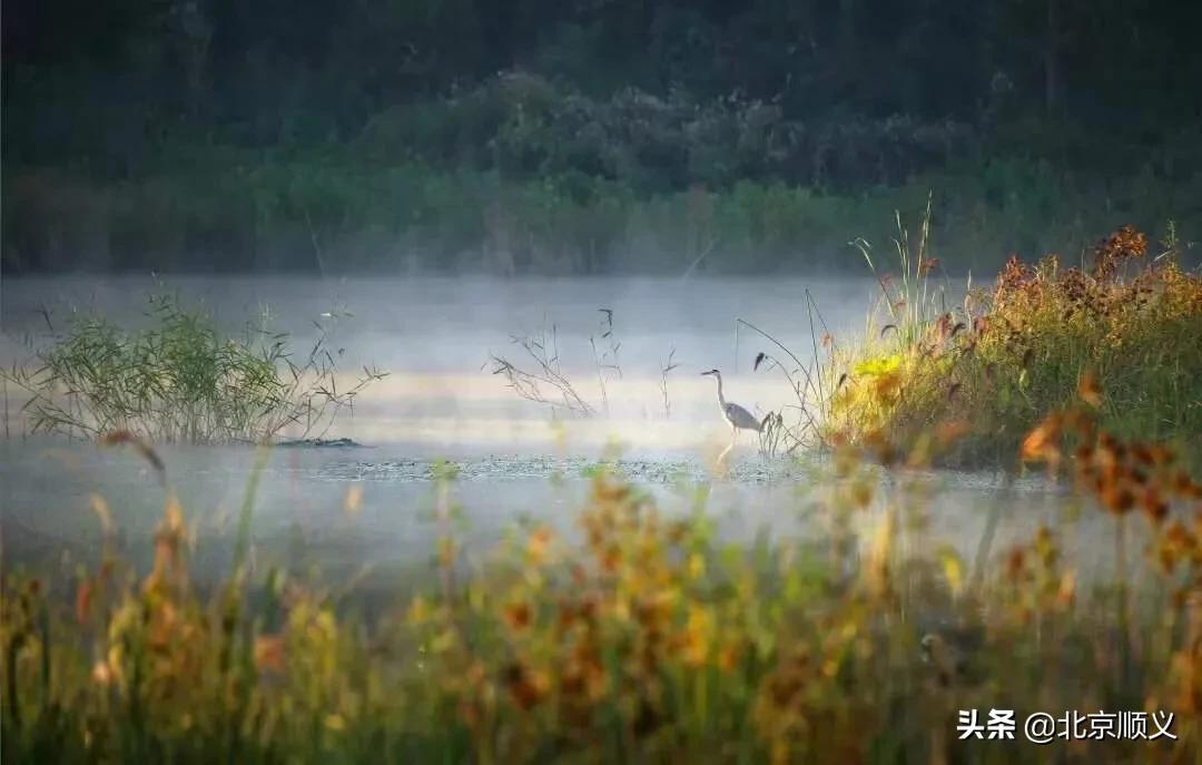 假期最后一天公园,假期结束前逛公园