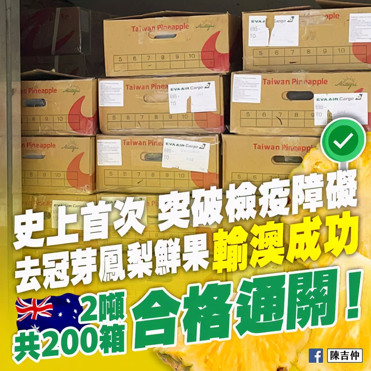 台湾菠萝滞销影响,台湾菠萝恢复进口