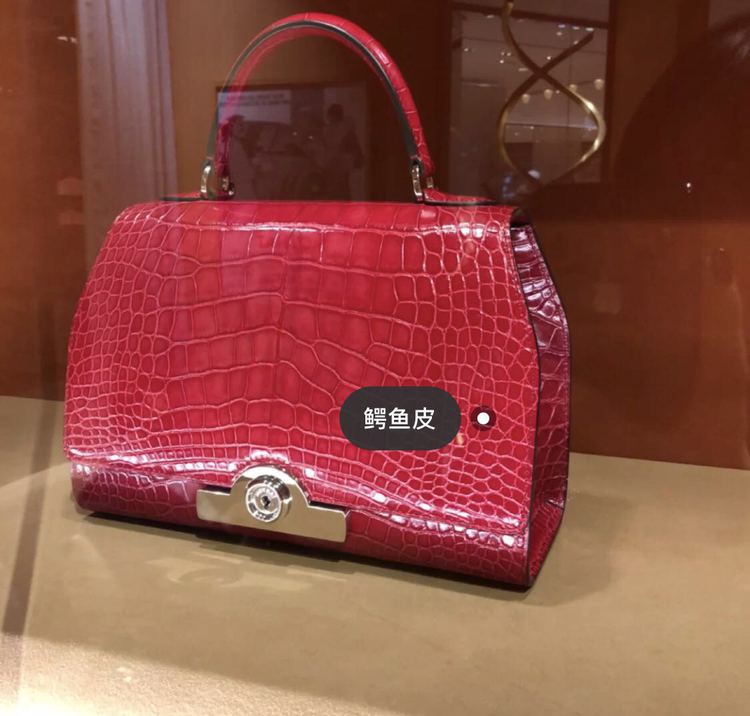 范冰冰近日机场照背的包,范冰冰双背包