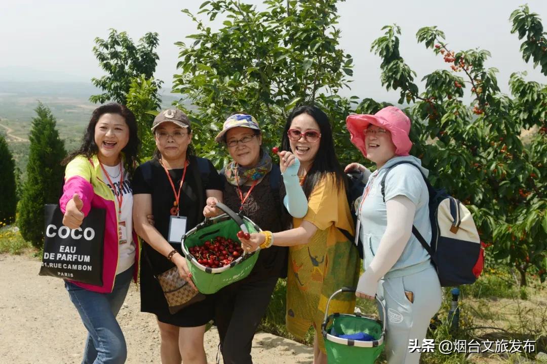 2022福山樱桃节是几月几日,富民樱桃采摘最佳时间