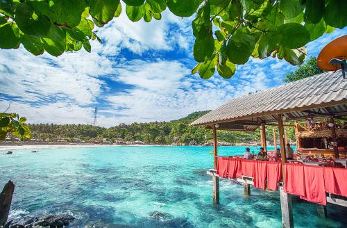 泰国曼谷旅行大象,泰国普吉市旅行记