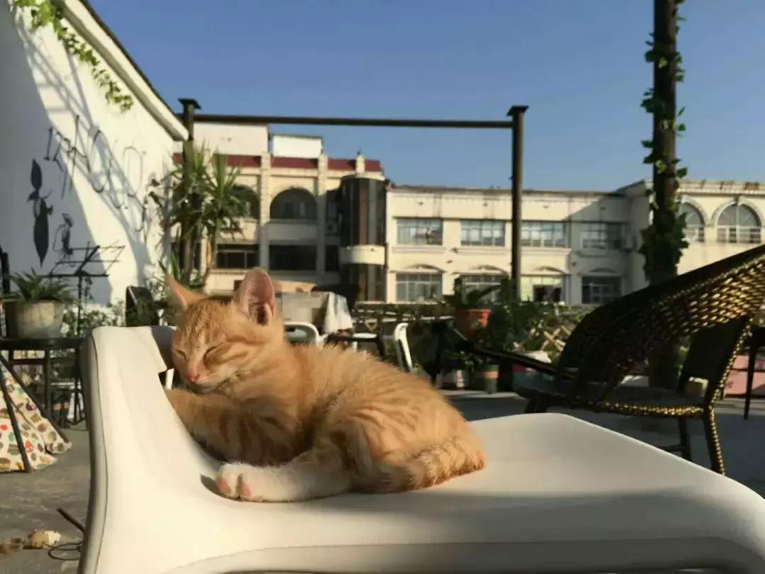 长沙五一广场住宿青旅推荐,去长沙穷游的攻略