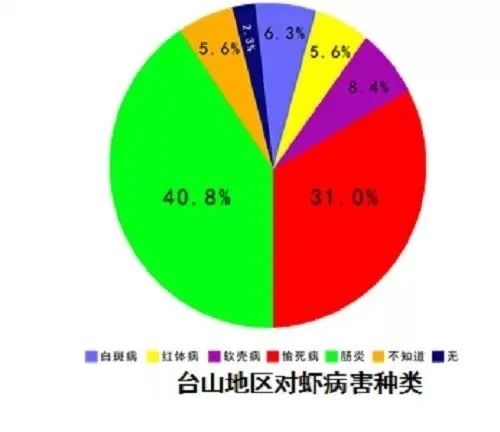 南美白对虾偷死病怎么治,南美白对虾肠炎能不能投喂新霉素