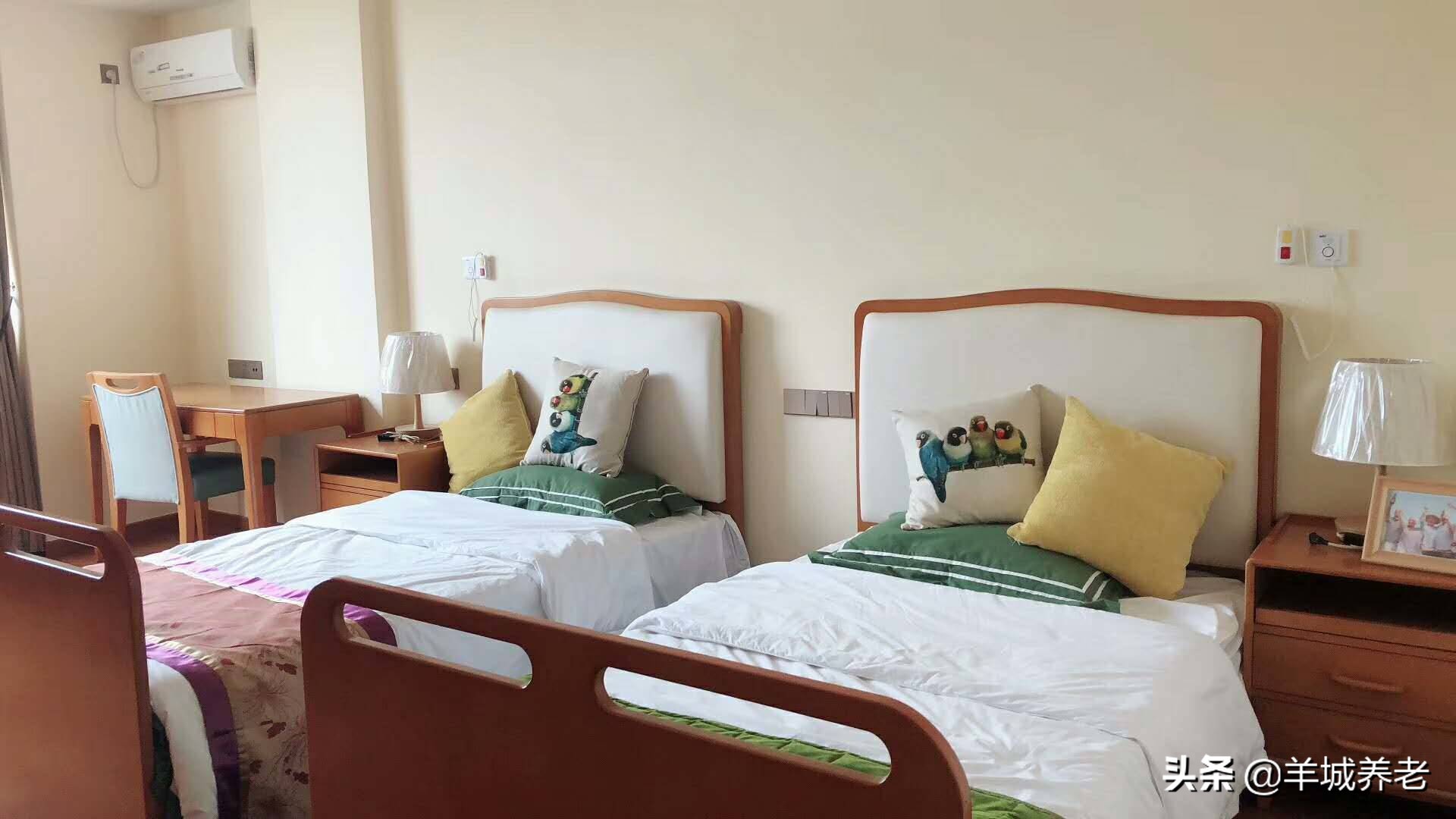 广州市天河区岭南养生谷养老院,广州颐寿养老院一览表