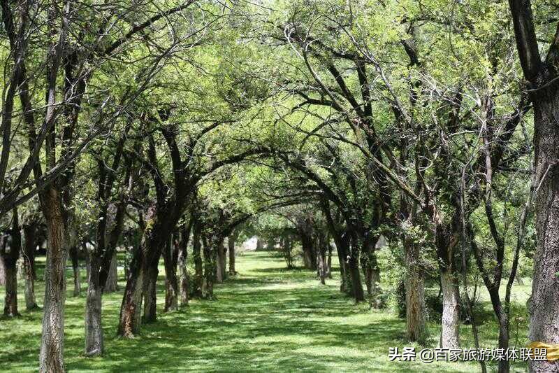 布达拉宫和罗布林卡的区别,罗布林卡和大昭寺