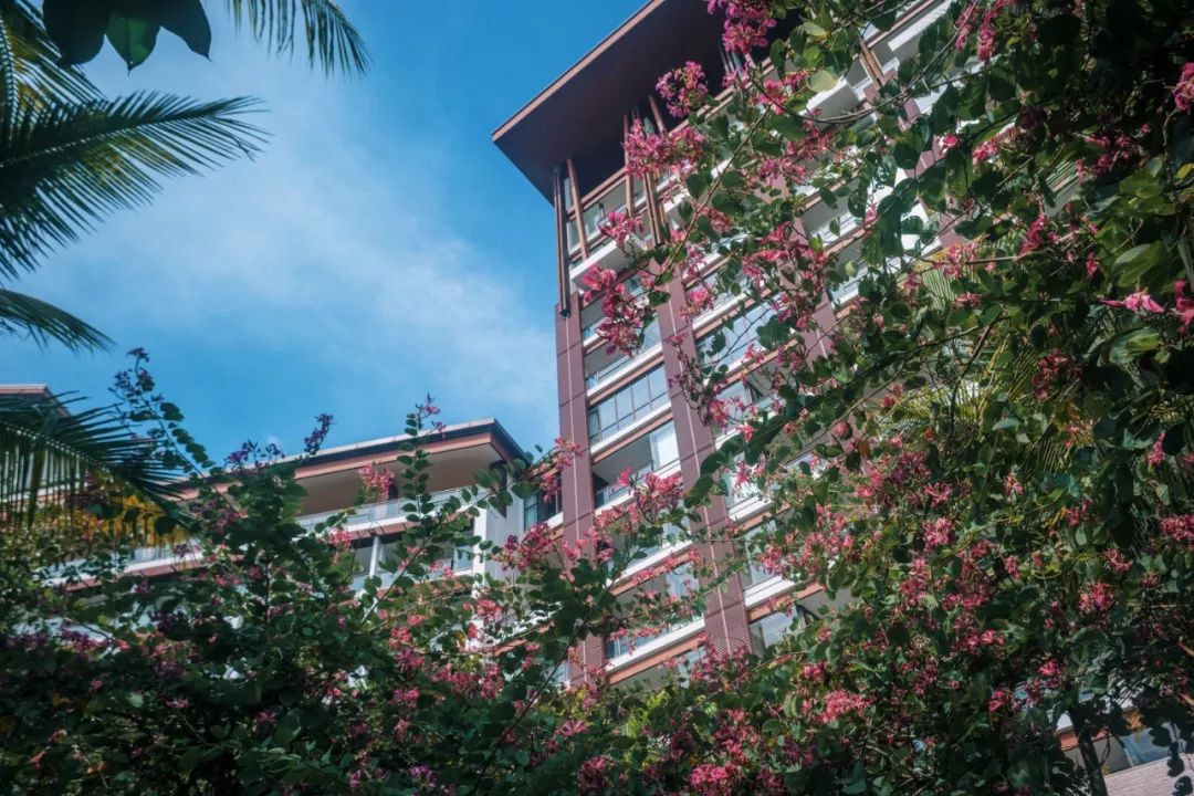 三亚海棠湾君悦至尊海景房,三亚海棠湾性价比5居别墅