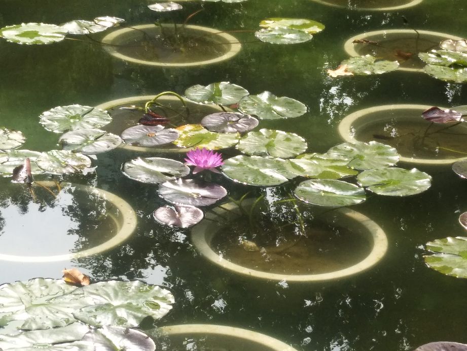 征服男人的终极必杀技,怎样征服男人的法宝