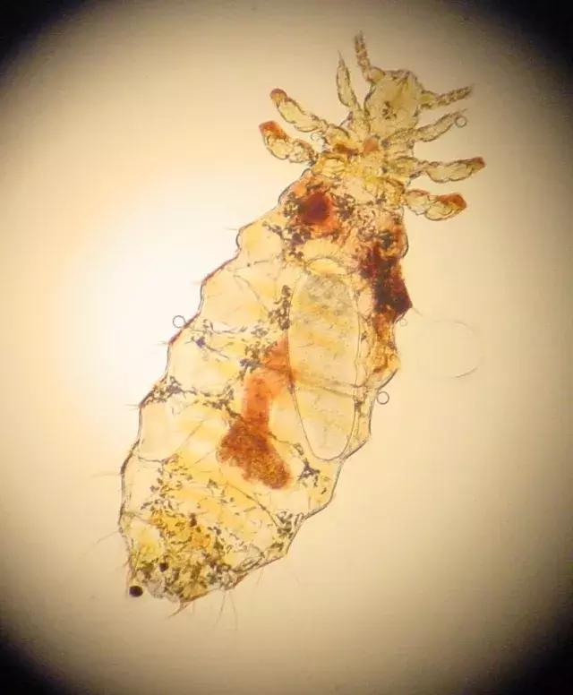 南方人在北方需要注意什么,南方人冬天来到北方最怕什么