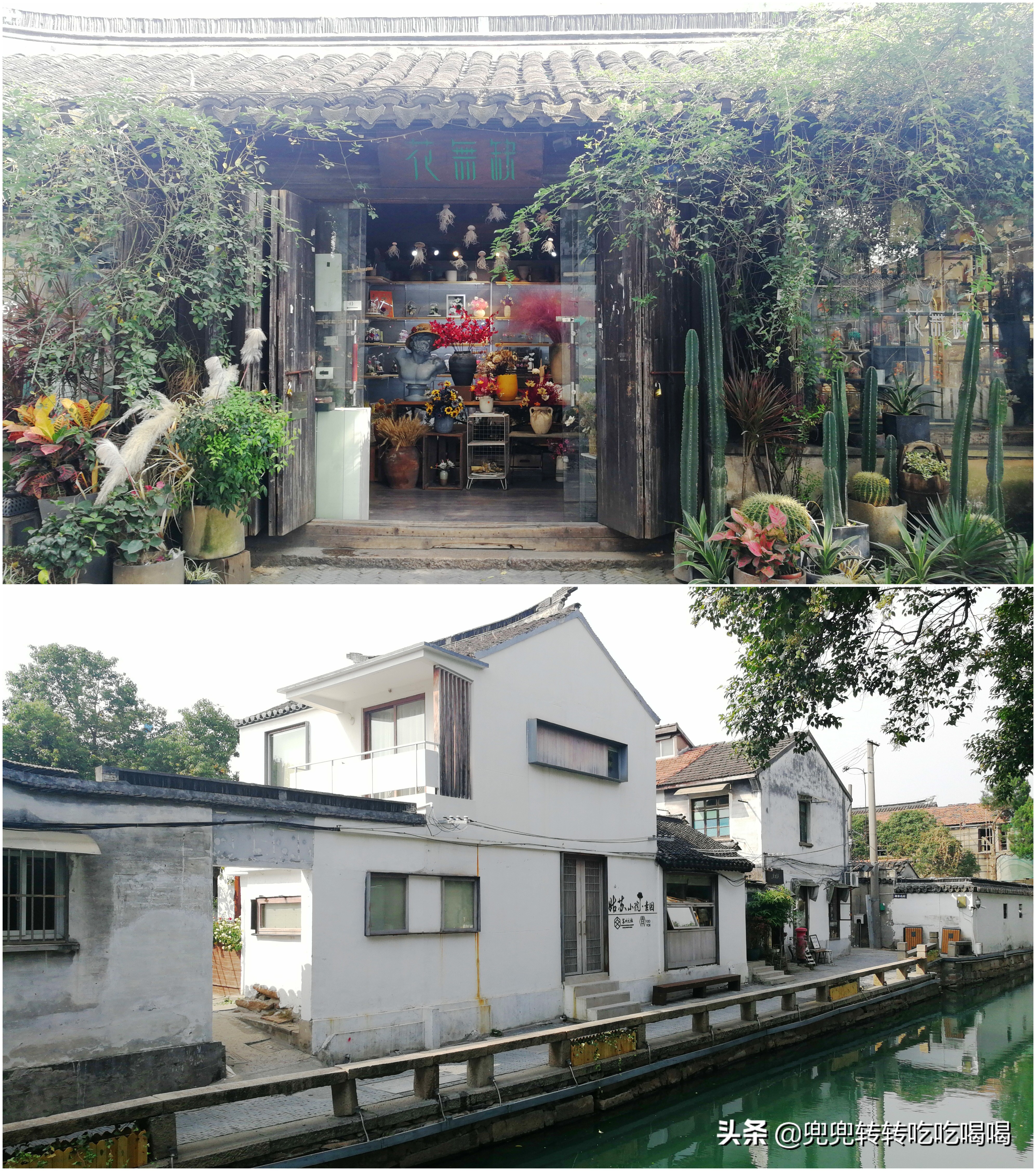 上海到苏州二日游详细攻略,上海往返苏州一日游