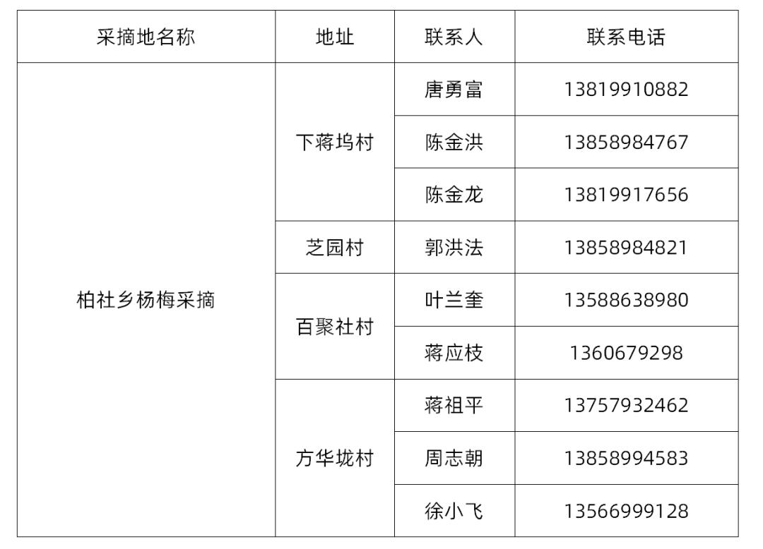 兰溪杨梅正式开摘！最强采摘攻略出炉，五十里杨梅长廊够吃吗？杨梅自由就是现在！