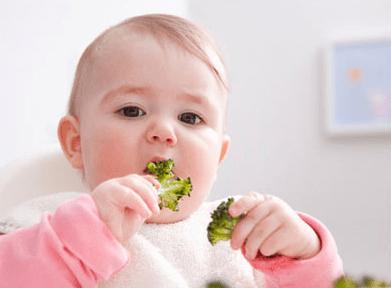 10个月宝宝过敏体质辅食怎样添加,16个月过敏体质宝宝一日三餐辅食