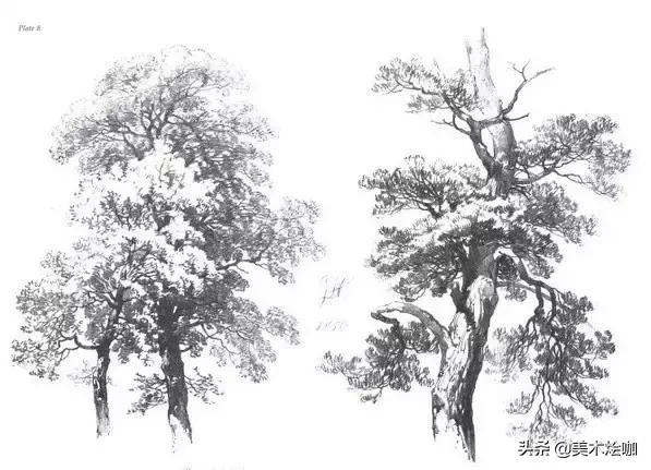 静物素描风景图临摹,简单又好画的彩铅素描风景图