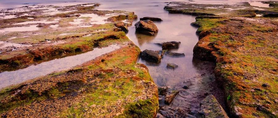 比鼓浪屿大12倍，比三亚安静10倍！这小岛最适合现在去，美轮美奂