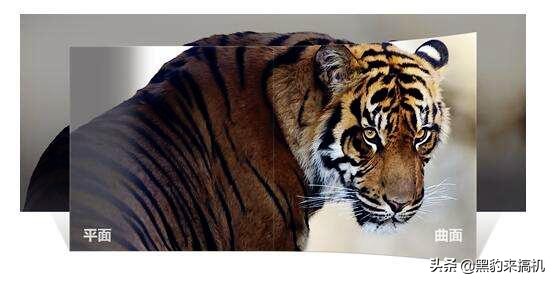 各种电脑显示器的选择标准是什么,电脑显示器选什么样的比较好呢