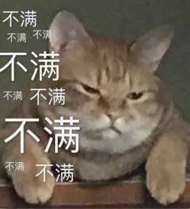 “腐女”逆鳞,被肖战的粉丝们拔掉了