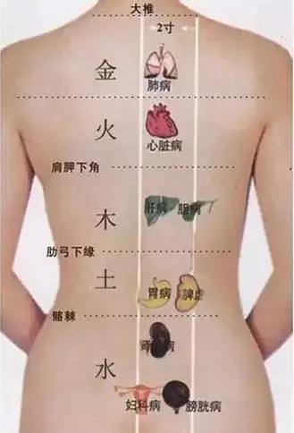 你的“背”泄露你的“病”！看一看哦