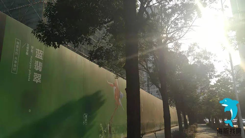 梧桐聚落开盘时间,泰华梧桐聚落花园交房时间