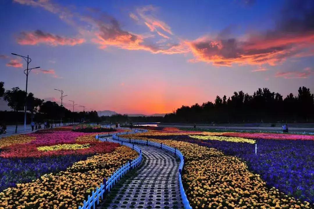 “石光美好家人有约”10月14—16日，相约石家庄