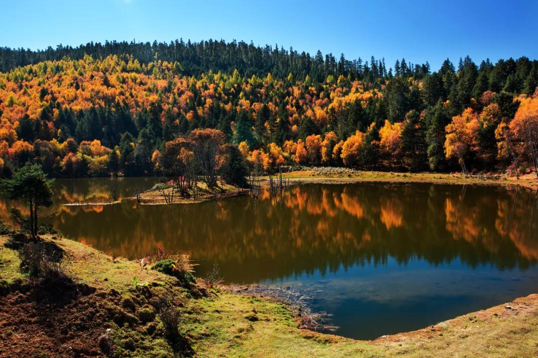 云南淡季旅游线路推荐,云南春季旅行推荐