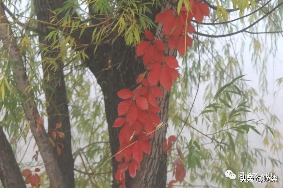 庄河步云山温泉,庄河步云山大雨
