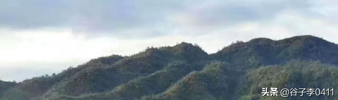 小聂的正确跑法视频,小聂跑法靠谱吗