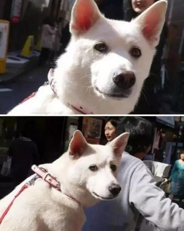 情人眼里出西施遇见了就是缘分,情人眼里出西施其实别人都看不上