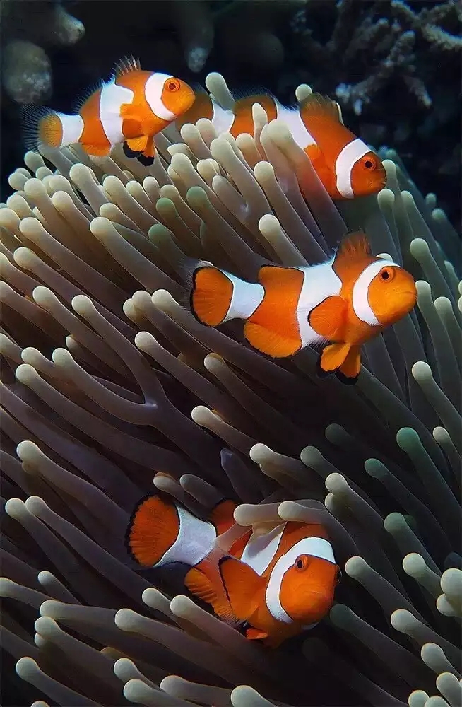 6000可以旅游的地方,6000元能去哪儿玩