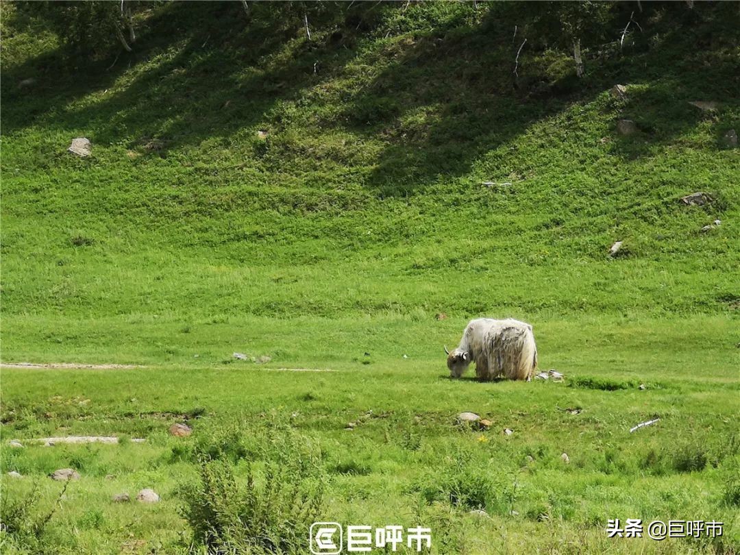 五月份去黄花沟好玩吗,五一黄花沟值得去吗