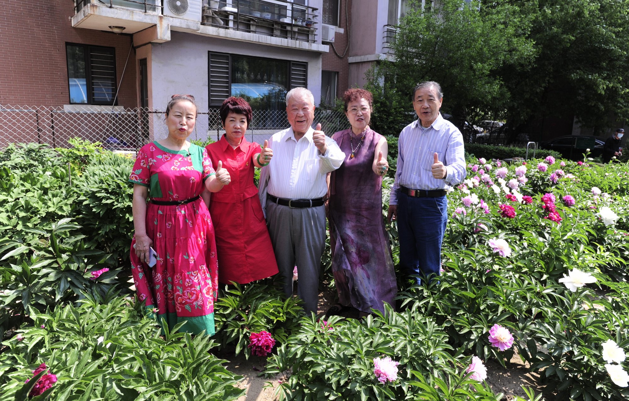 沈阳90岁老人自费建花园如今繁花似锦