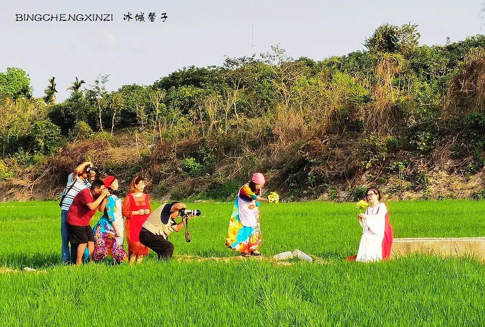 做把“村姑”，走进海南灯火灿烂的火龙果园