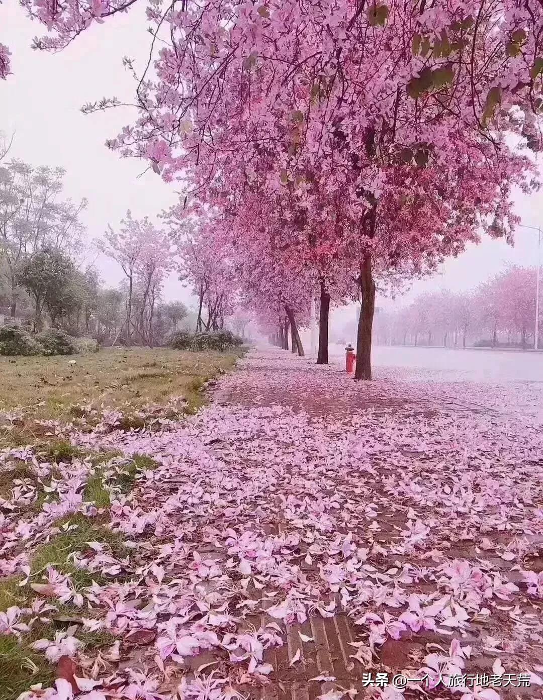 广西哪些城市是靠一碗粉火起来的,凭一碗螺蛳粉征服世界
