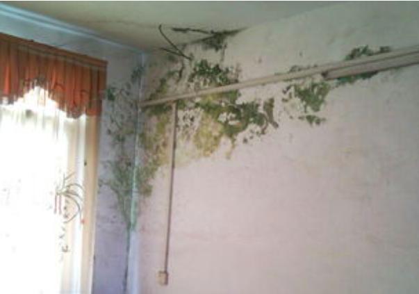 武汉上门维修水管漏水,武汉武昌房屋漏水修补的方法