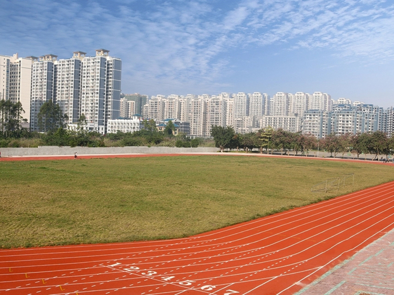 广西平果几线城市,广西第一强县平果
