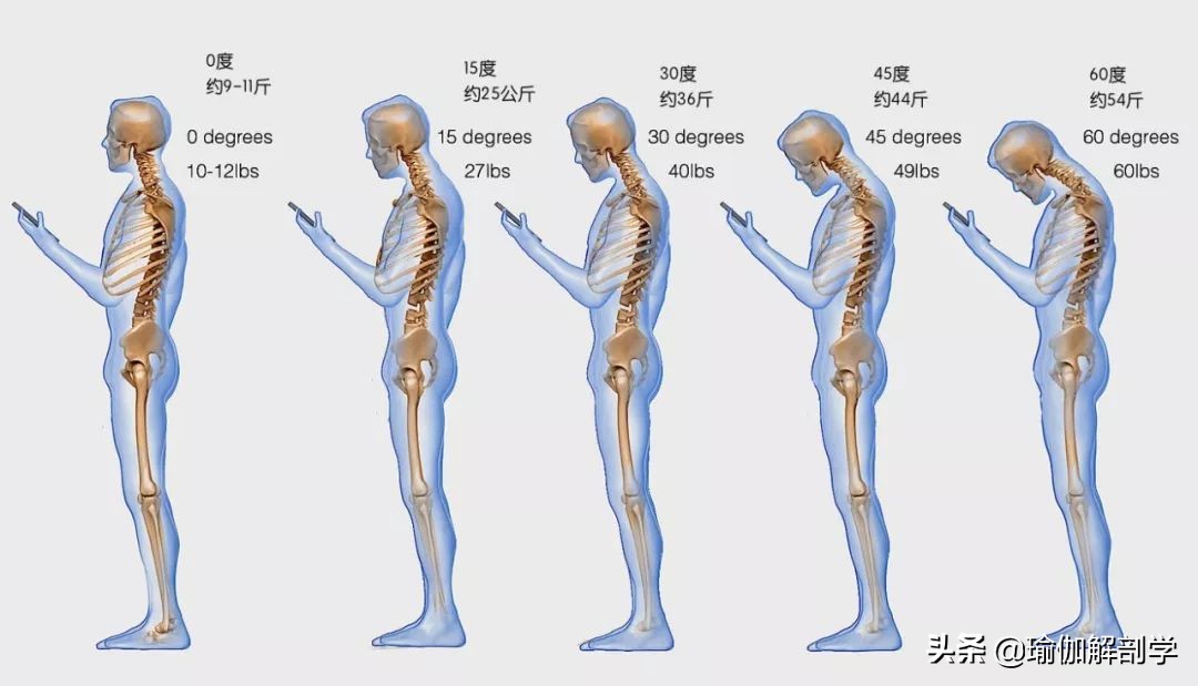 头前引怎么练体态,练瑜伽后显老怎么办