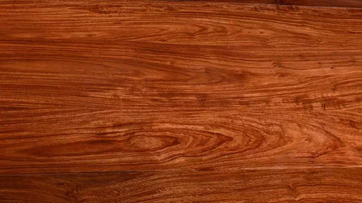 刺猬紫檀国标与非国标区别,国标红木刺猬紫檀产地是哪里的