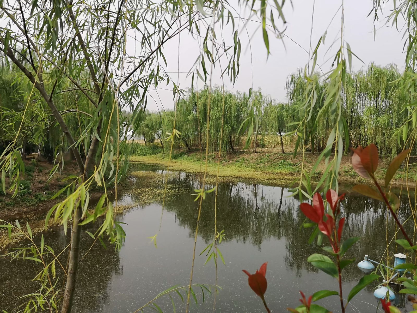 俞伯牙墓为什么在固镇,俞伯牙墓出土