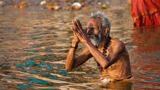 印度掏粪工死于什么病,印度掏粪工死亡率