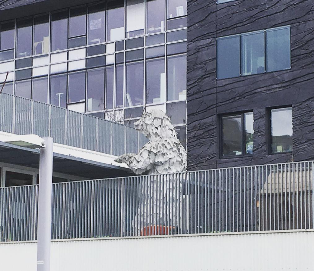 看了就想养的宠物,看了就想抱的宠物