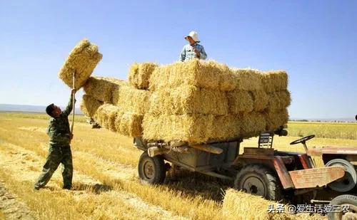 自己想创业不想打工,适合穷人农村创业