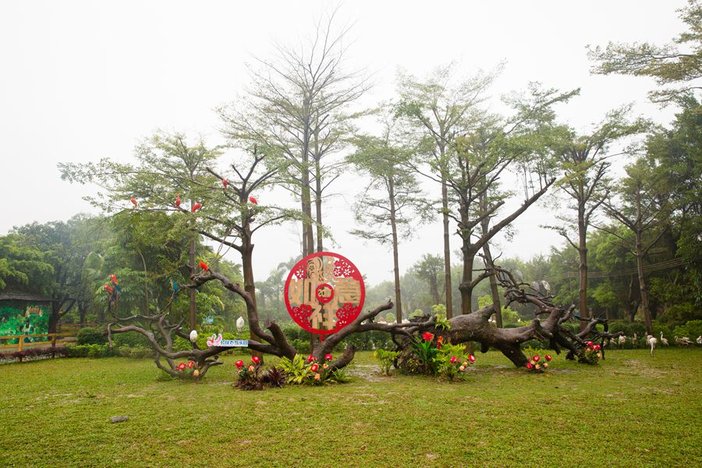 长隆飞鸟乐园湿地精灵,长隆飞鸟公园一日游攻略