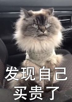 双11实录快递,双十一回忆录全集