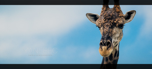 泰旅局发布2019年泰国旅游新玩法,曼谷漫游攻略