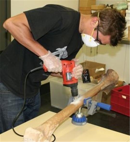 马斯克15年内培育出恐龙,埃隆马斯克复活恐龙计划